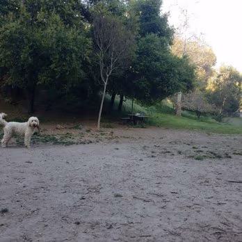 Dog Park at Crestwood Park photo 1